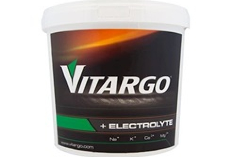 VİTARGO ELECTROLYTE 1000 GR