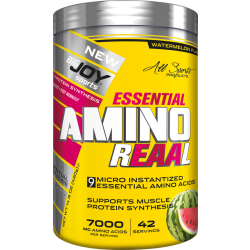 BİGJOY ESSENTİAL AMİNO REAAL 420 GR