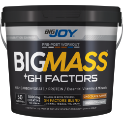 BİGJOY BİG MASS + GH FACTORS 5000 GR