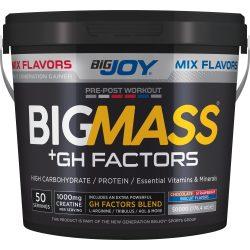BİGJOY BİG MASS + GH FACTORS 5000 GR - MİX