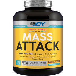 BİGJOY SPORTS MASS ATTACK 3000 GR