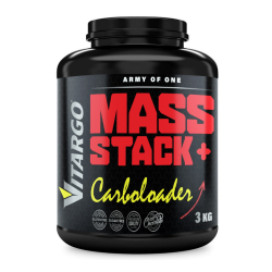 ARMY OF ONE MASS STACK + VİTARGO 3 KG