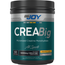 BİGJOY CREABİG MİCRONİZED CREATİNE POWDER 420 GR