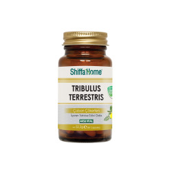 Tribulus Terrestris / Çoban Çökerten Kapsül