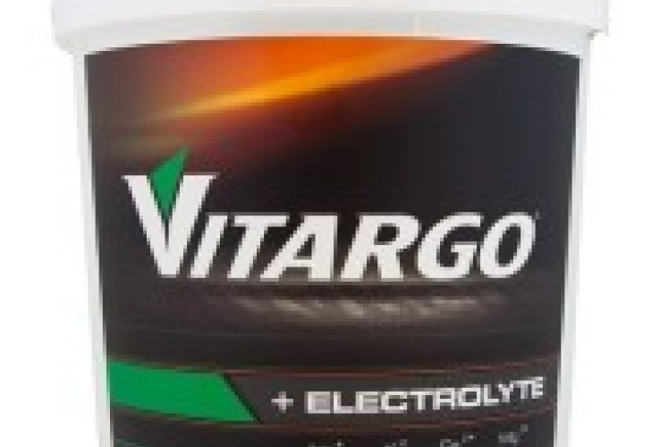 VİTARGO ELECTROLYTE 2000 GR